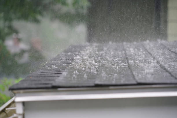 Best Roof Insulation Installation  in Elgin, OR
